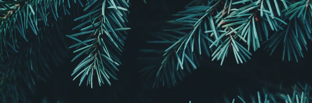 inathulin's profile banner image