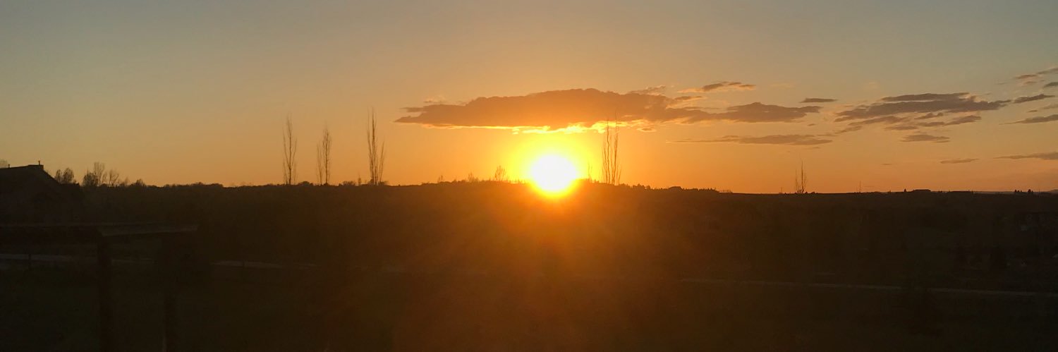 Bulla 🇨🇦🇬🇧 banner