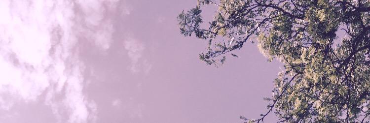 mweekends's profile banner image