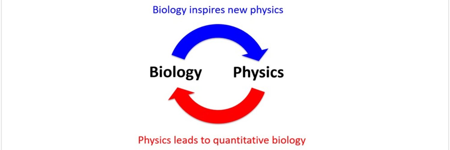 Biological Physics Group UK's banner