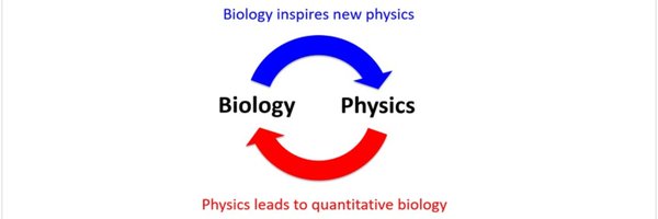 BioPhysicsUK Profile Banner