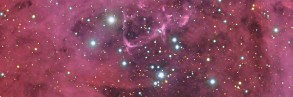 Roxy76052751 Profile Banner