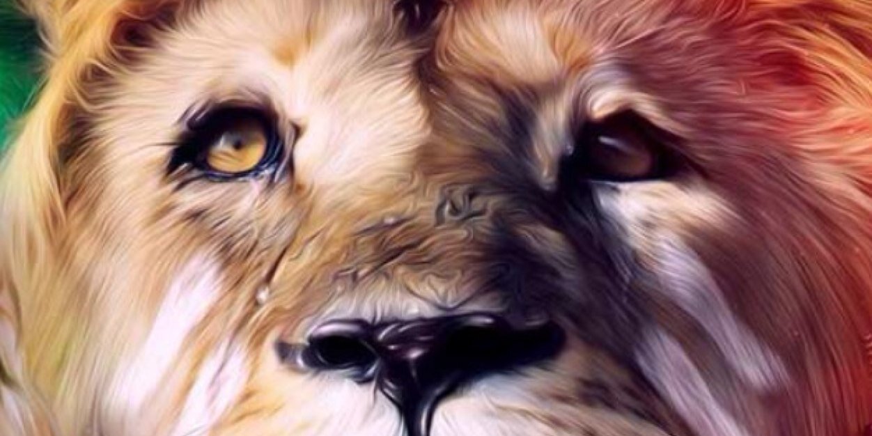luisfrebrito's profile banner image