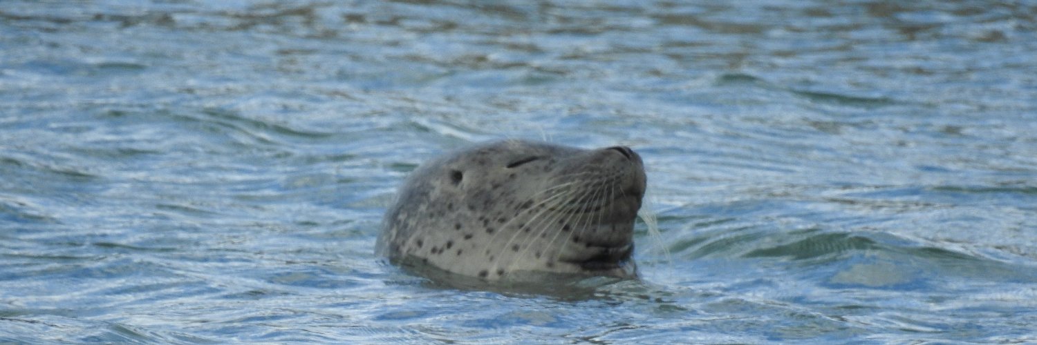 畑測量設計［稚内］ banner