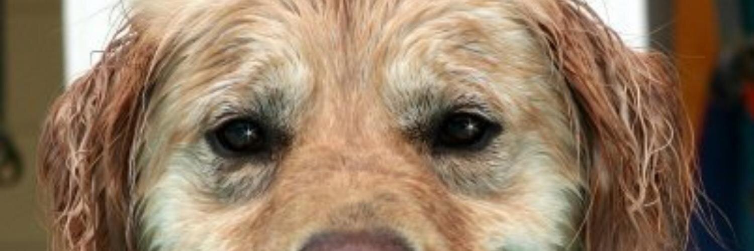 SCloversettle's profile banner image