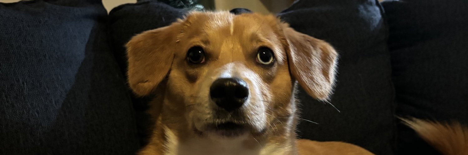 IAmStewart97's profile banner image
