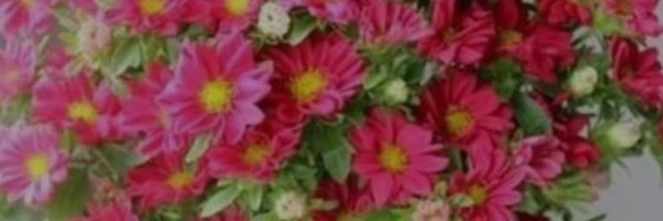 Pratyancha007 Profile Banner