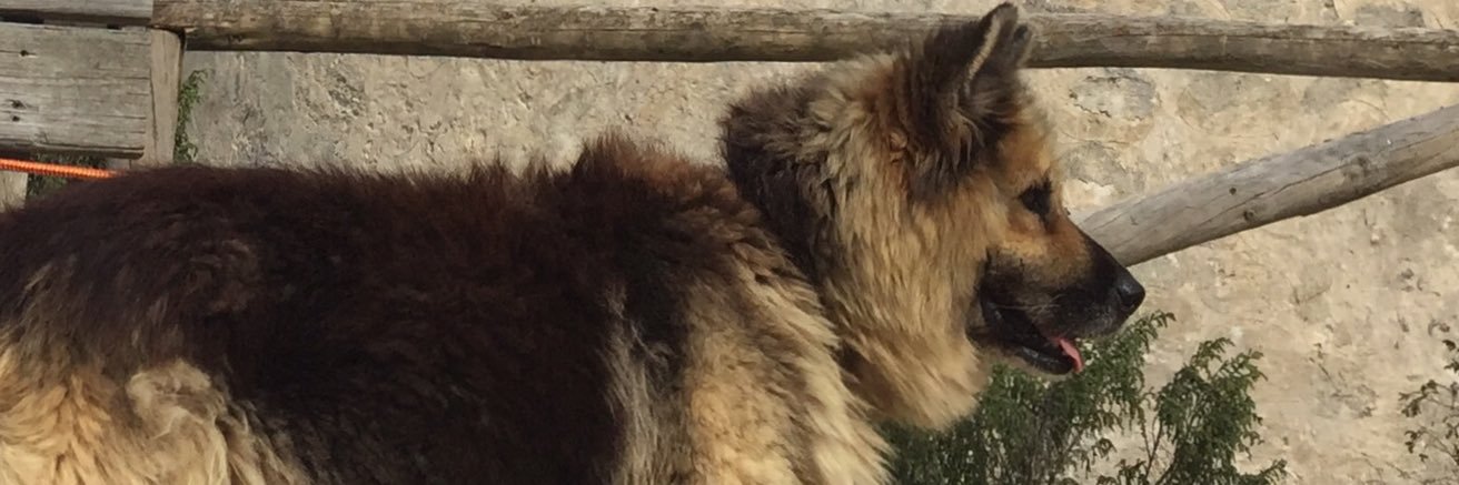 SebaClikClak's profile banner image