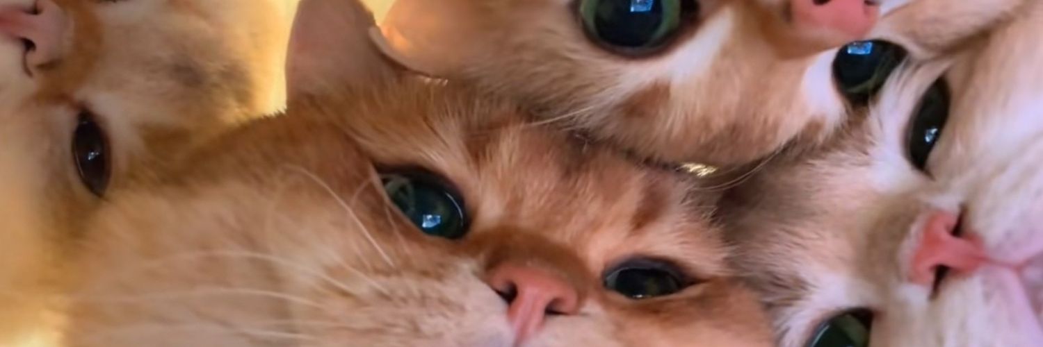 justbenz22's profile banner image