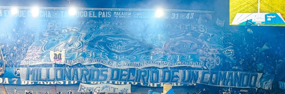 Fernanda 💙 banner