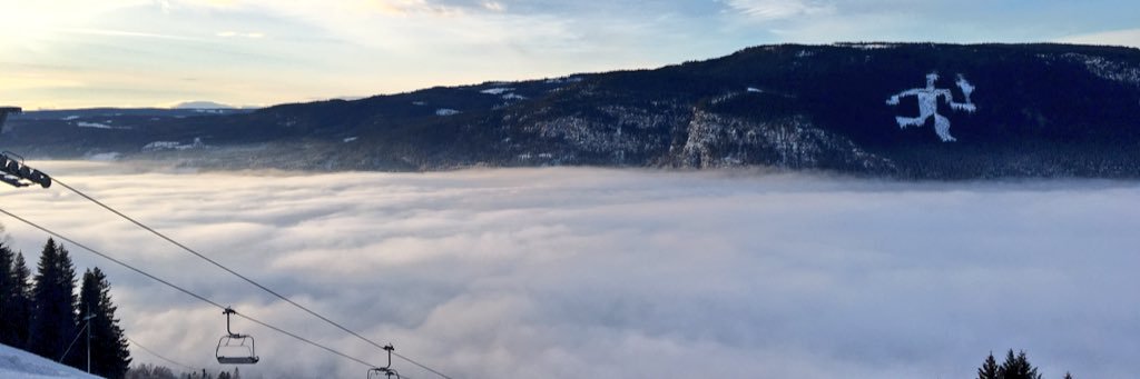 Stephan Vigier banner