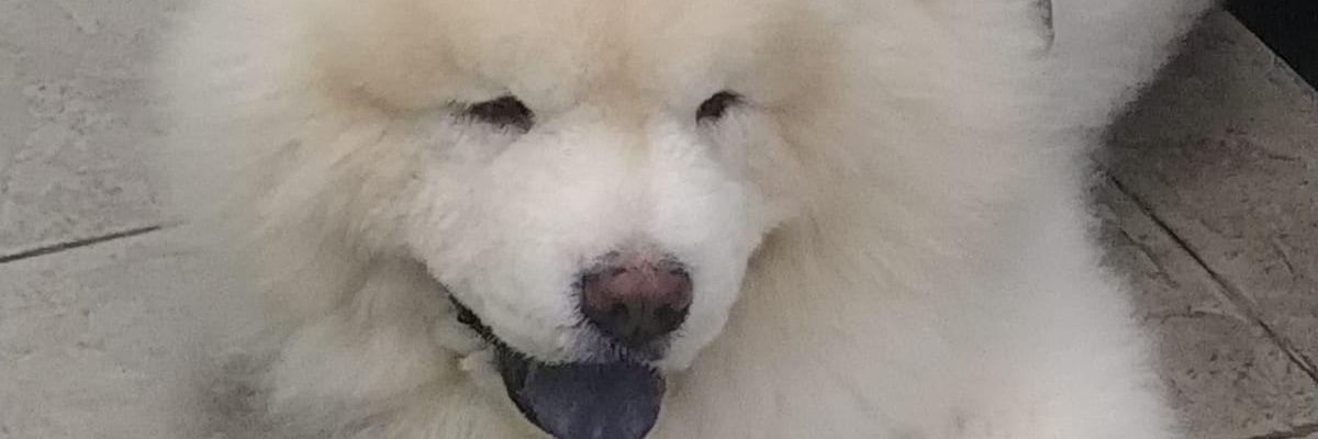 KendrickTay3's profile banner image