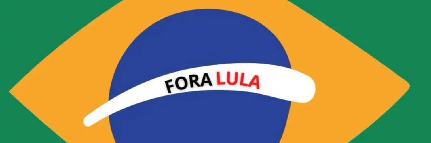 Sueli Rizzi 🌻🇧🇷's banner