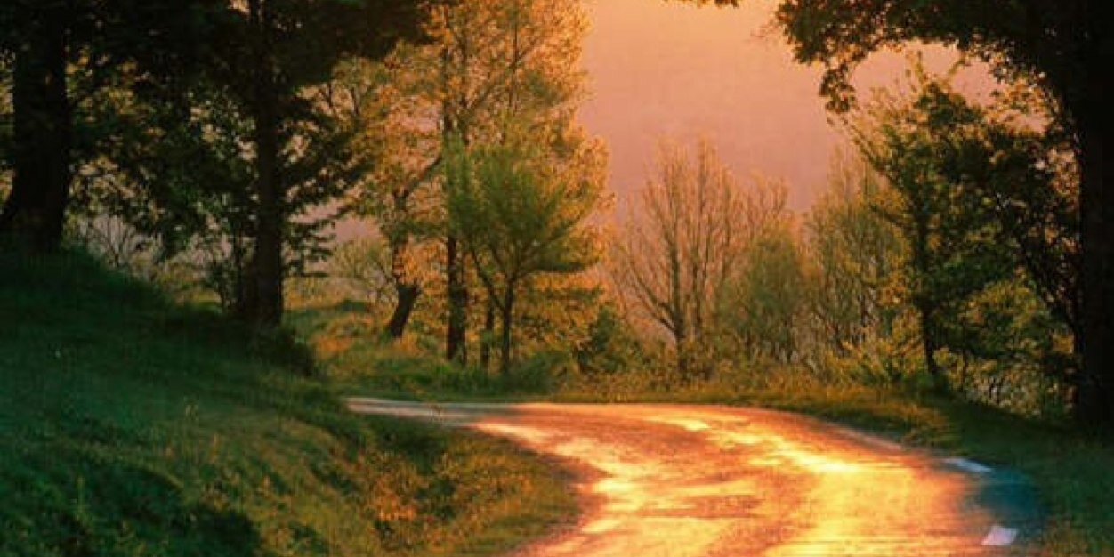 dream1269's profile banner image