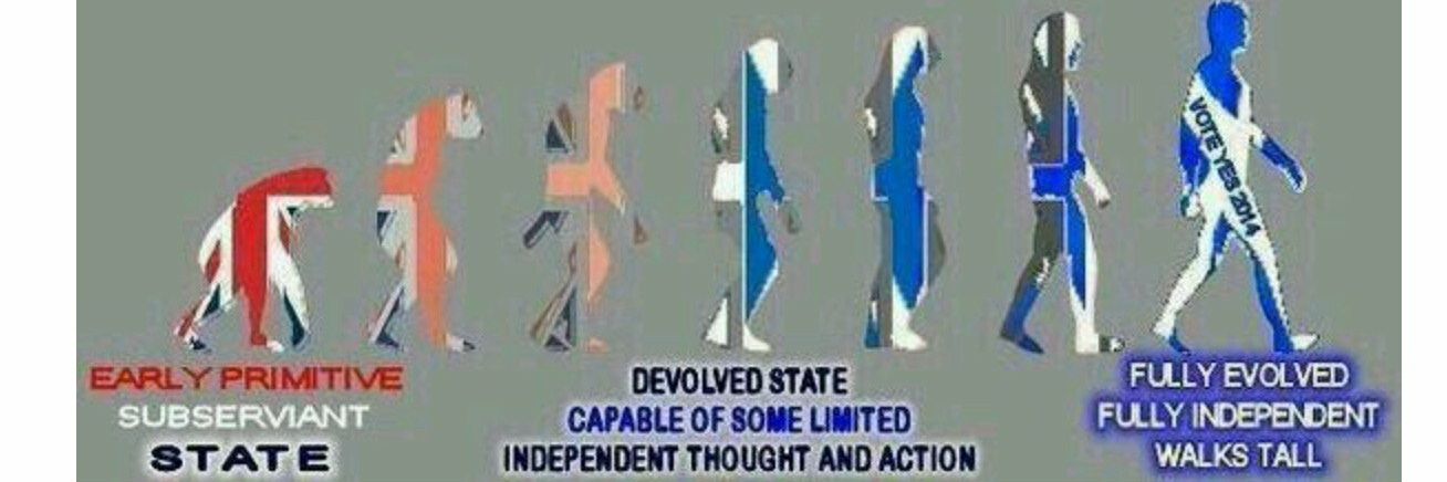 Indy Scot Extremist, independence supporter. banner