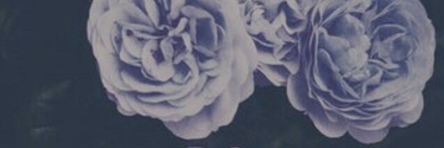 aychensee's profile banner image