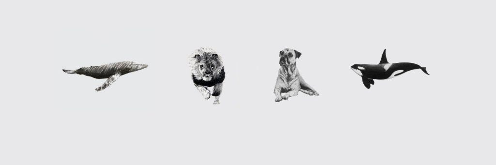 rosingana_'s profile banner image