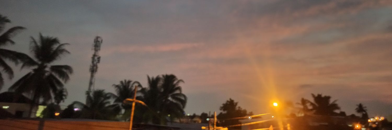 raniie banner