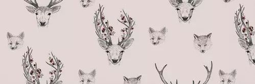 aliceeniite's profile banner image