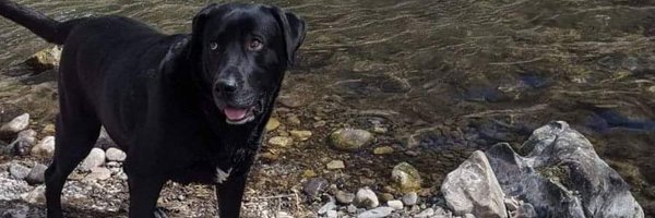 Fromkranston Profile Banner