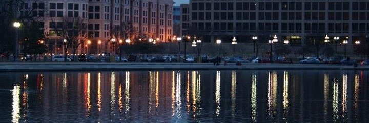 cat_kaufman's profile banner image