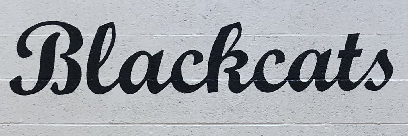 STMSActivities banner