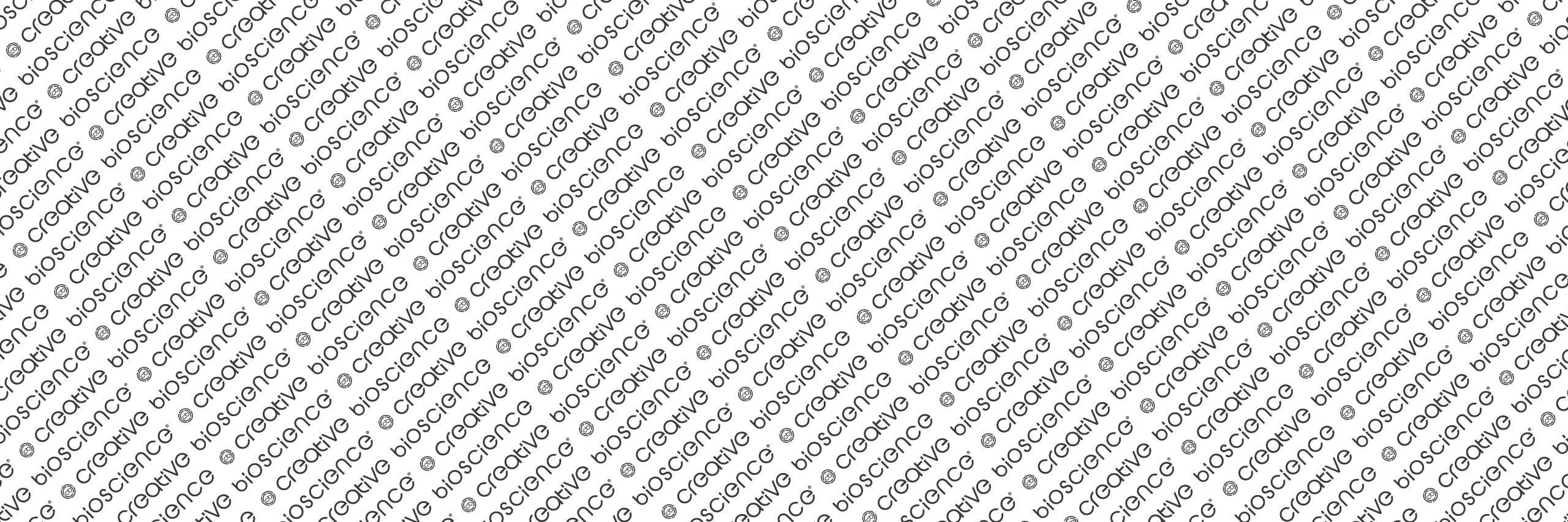 creativebio1234's profile banner image