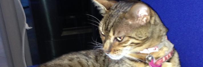 Millie_63's profile banner image