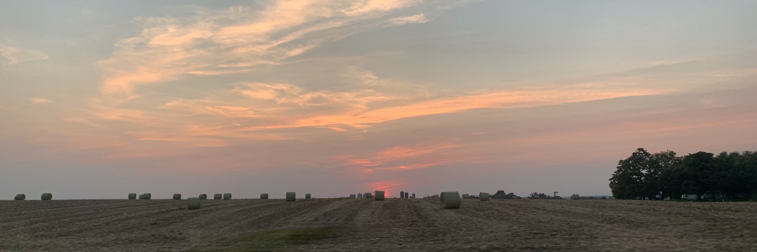 Valley Sentinel banner