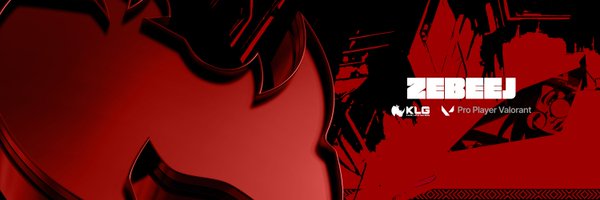 Zebeej1 Profile Banner