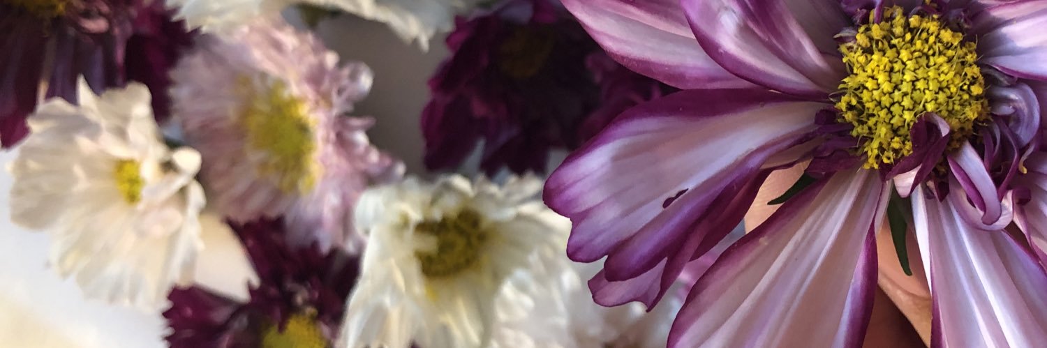 sarah_whos's profile banner image