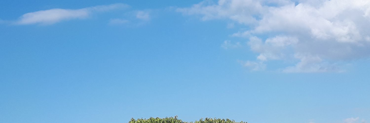 AlejandroZMont's profile banner image