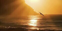 rulas04963's profile banner image