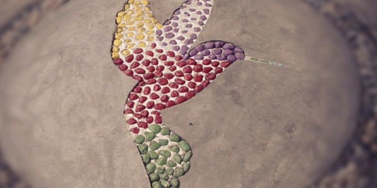 MatutinoRTG's profile banner image