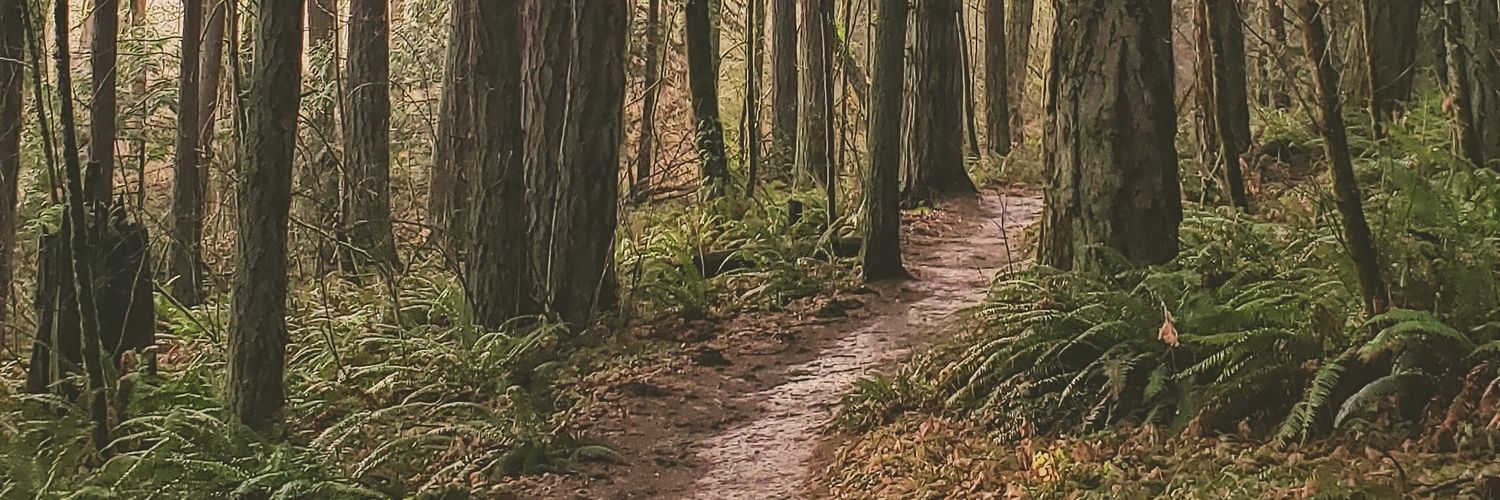 agingerlypace's profile banner image