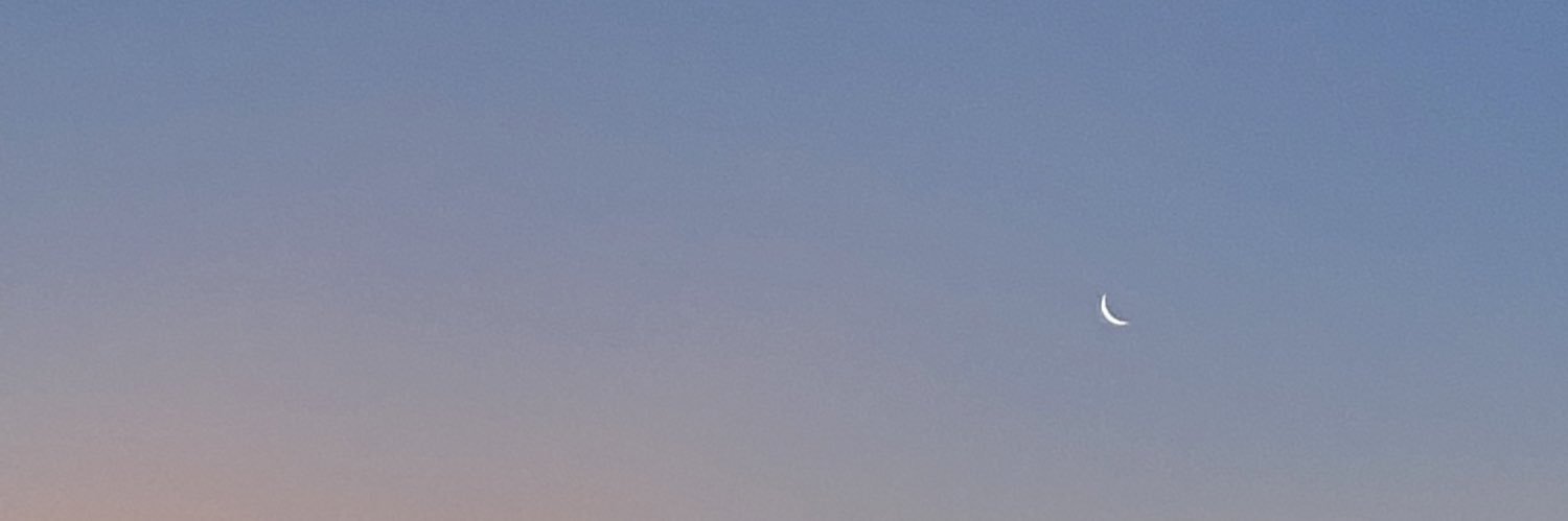 camicasares's profile banner image