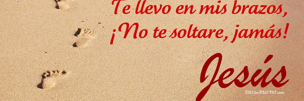 PaolaCavedoniM's profile banner image