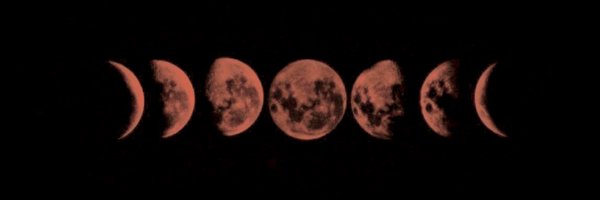 mothmandalorian Profile Banner