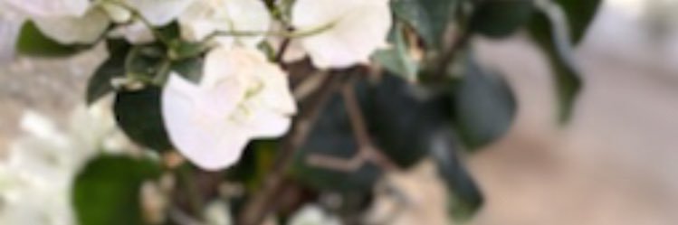 88ttll2's profile banner image
