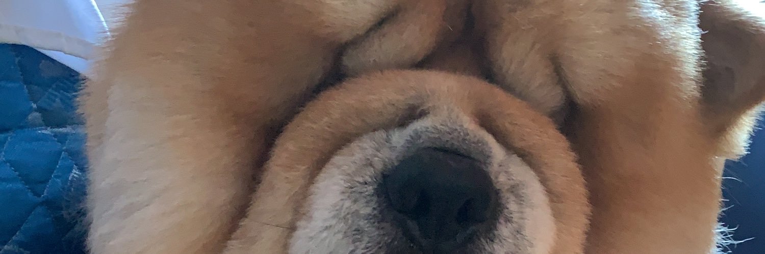 fedebelloni10's profile banner image