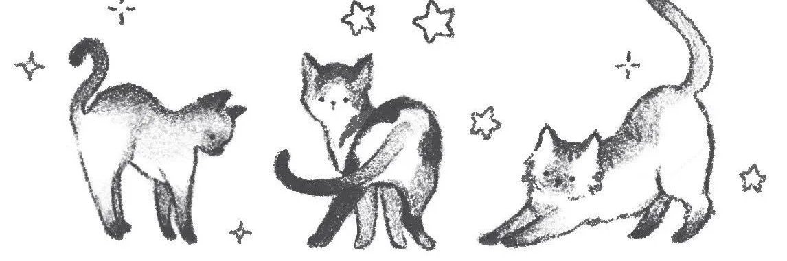 muhe 🇵🇸 banner