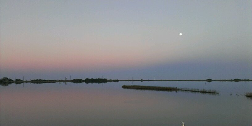 LindseysLures banner