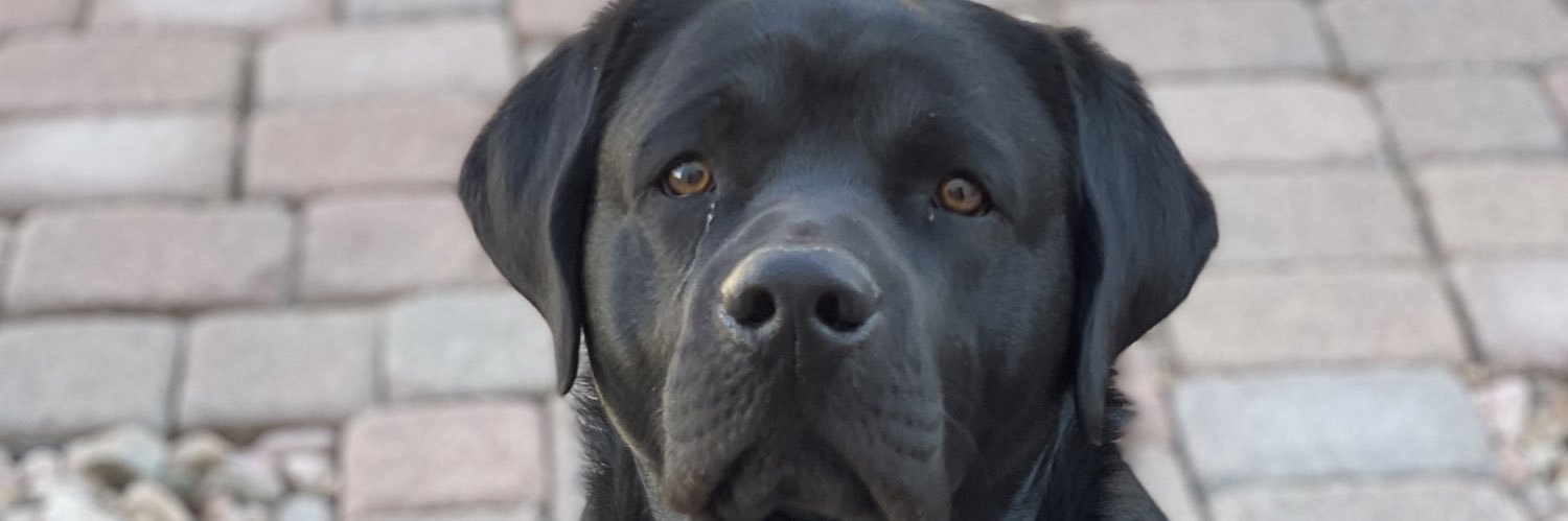 BucketsTown's profile banner image