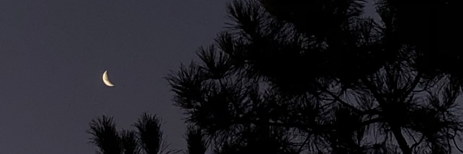 _chulafogli's profile banner image