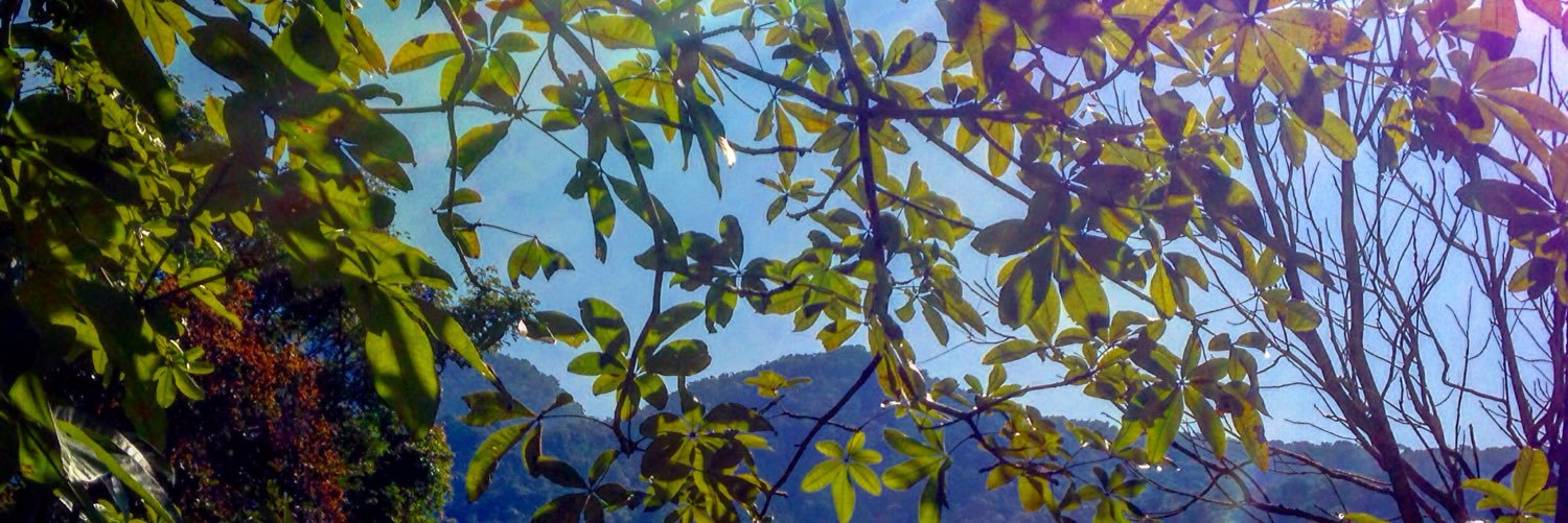 prihw's profile banner image
