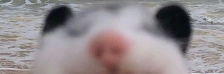 CliffUnderABee's profile banner image