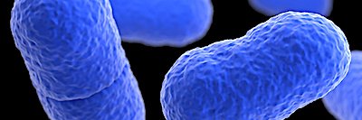 RecallsDirect™ banner