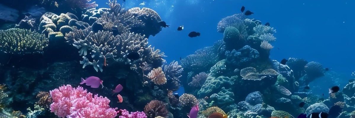 Meletios🐟 banner