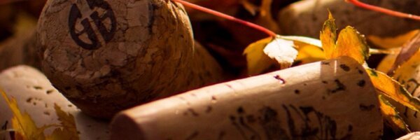 Friscokid49 Profile Banner