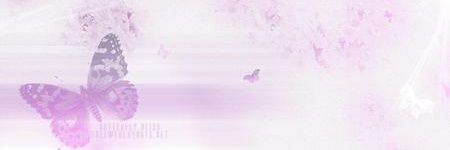 Calystegia banner